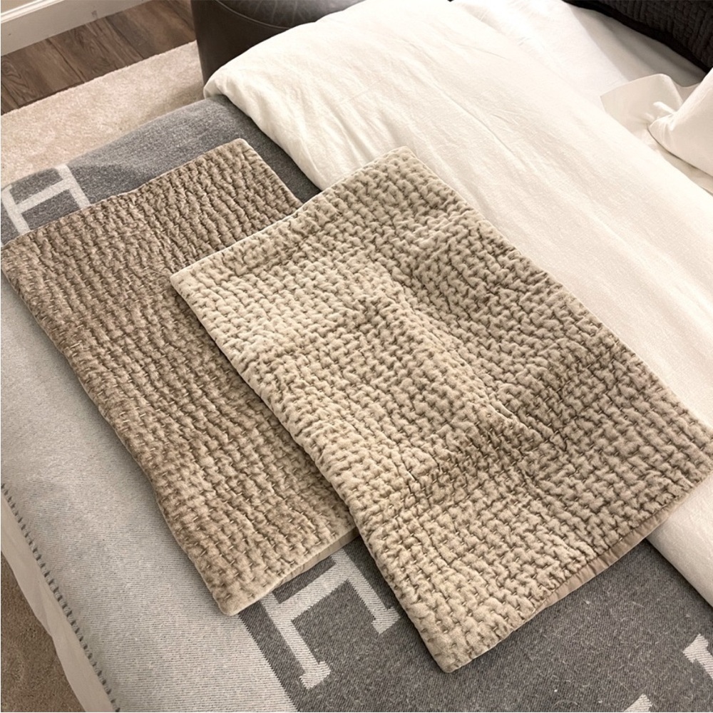 Restoration Hardware Set of 2 Velvet Lumbar Shams